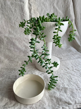 Maceta Elevada Planter